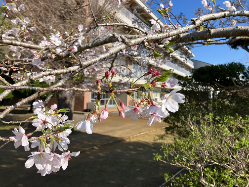 ����P���ݍΏ�